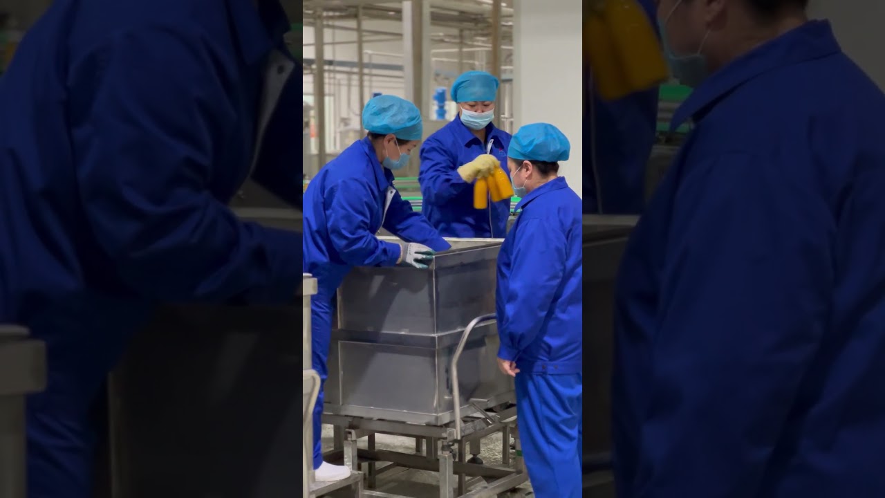 Sea Buckthorn Drinks Production at Youhero | Sterile Filling & Quality Control