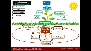 Transition to Adulthood for Individuals with Autism Spectrum Disorder - Occupational Therapy Model