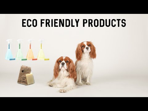 Video: 15 miljøvenlige produkter, som du og din hund vil elske