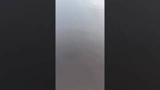 ловля щуки на колбасу