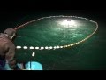 Amazing fishing 漁撈鰹魚（炸彈魚／煙仔魚）