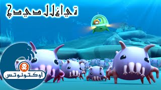 7 أوكتونوتس | خنازير البحر |  السلسلة 3 | الحلقة