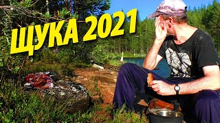 Part 1 Chupinskaya Triangle | kayaking on the Kotozero | trek 2021