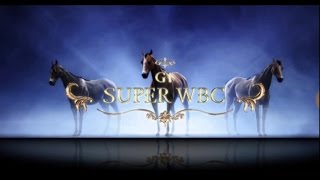 【スタポケ】スターホースポケット 直線一気でSWBC挑戦！