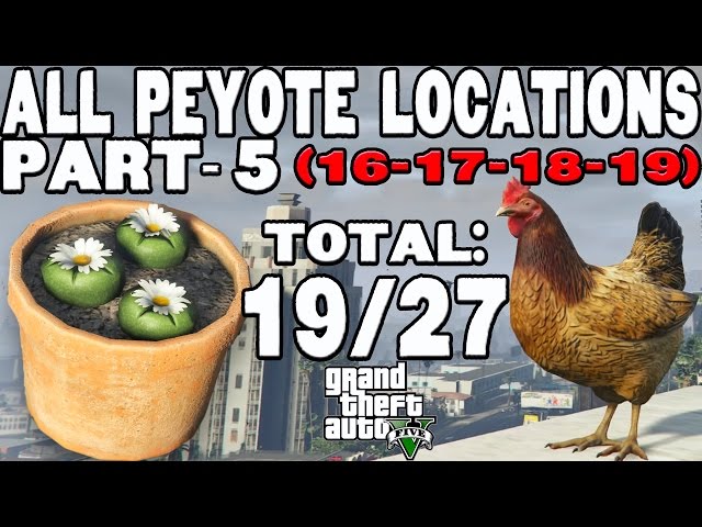 GTA 5 (Grand Theft Auto V): Guia completo : Peiotes