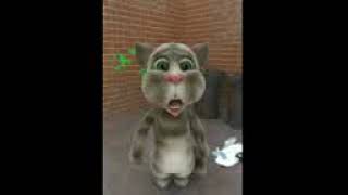 Talking Tom Cat And Larry Bird 3gp.