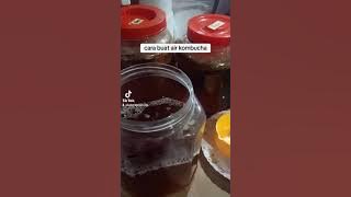 CARA BUAT AIR KOMBUCHA CENDAWAN MEKAH MUT MUT ALGA MEKAH MUD MUD mcm2 nama la😂
