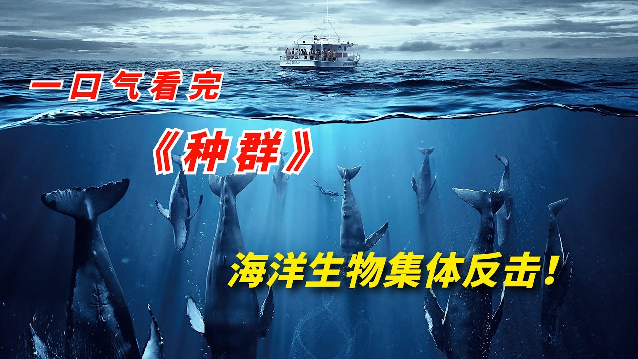 【阿奇】未知智慧种群操控海洋袭击人类，一口气看完2023年灾难惊悚片《种群》