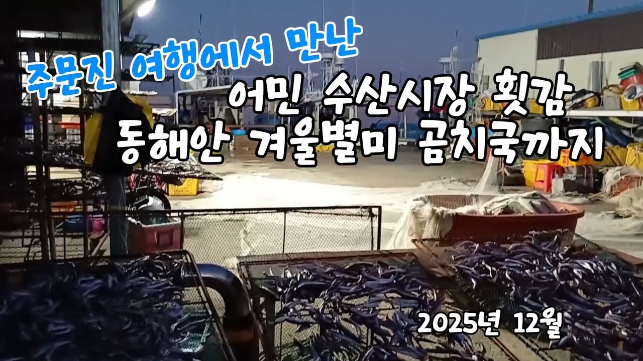 주문진 어민 수산시장의 횟감/동해안 겨울별미 곰치국#주문진여행#여행맛집#동해안여행#수산시장#횟집#곰치국#주문진풍물시장#겨울별미#어민수산시장#맛집#효성횟집#횟감#쥐치#겨울여행