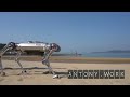 Робот-пес RaiBo научился бегать по песку со скоростью 3 м/с