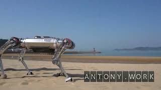 Робот-пес RaiBo научился бегать по песку со скоростью 3 м/с