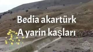 Bedia akartürk Resimi