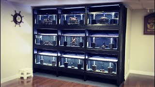 Ultimate DIY Aquarium Breeding Rack (Auto Water Changes, Clean Design, Low Maintenance)