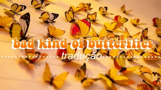 Camila Cabello - Bad Kind Of Butterflies (Tradução)