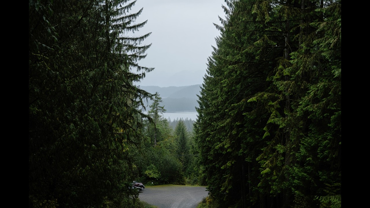 You’re 4 Minutes Away From This Place 🌿