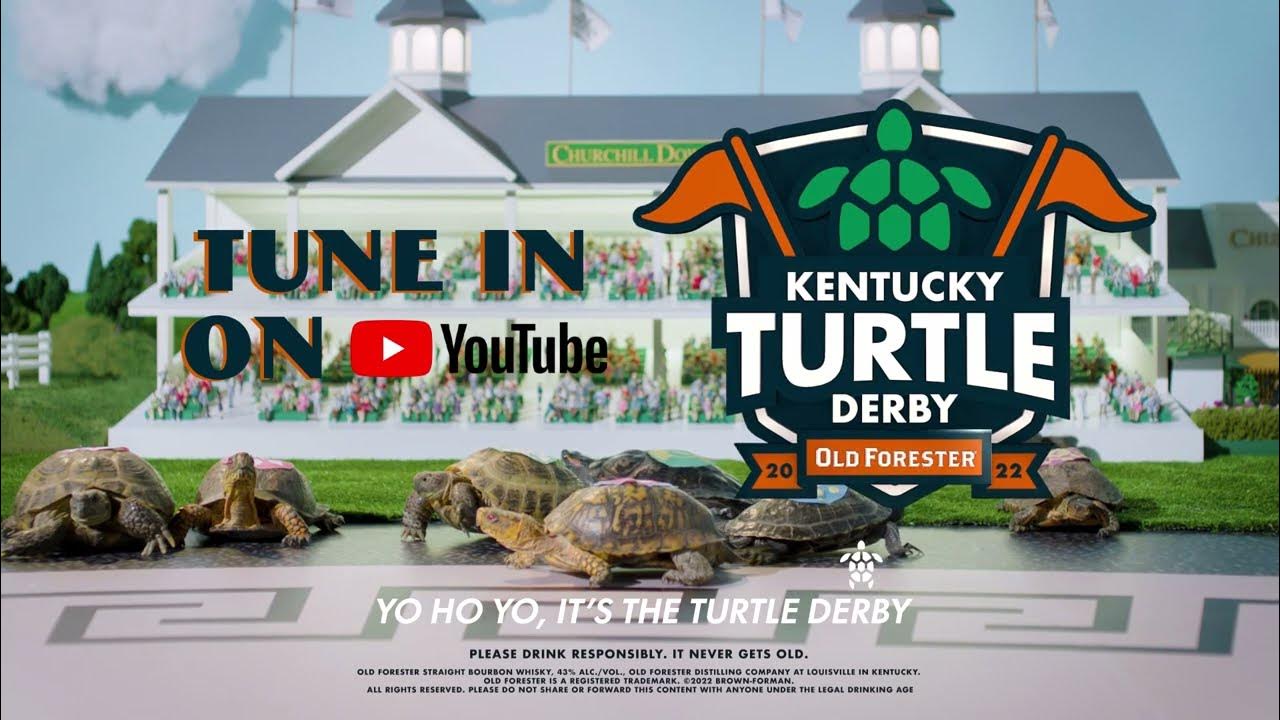 Kentucky Turtle Derby Sea Turtle Shanty YouTube