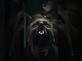 النافذة افلام قصص رعب رعب الجن الغموض ماوراءيات قصص نايا غابات رحلة Foryou Horror النافذة افلام قصص رعب رعب الجن الغموض ماوراءيات قصص نايا غابات رحلة Foryou Horror