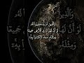 للذين استجابوا لربهم الحسنى محمد صديق المنشاوي الرعد 