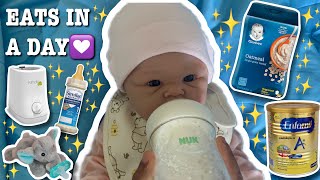 What My ✨Silicone baby✨ Eats In A Day| Reborn’s World