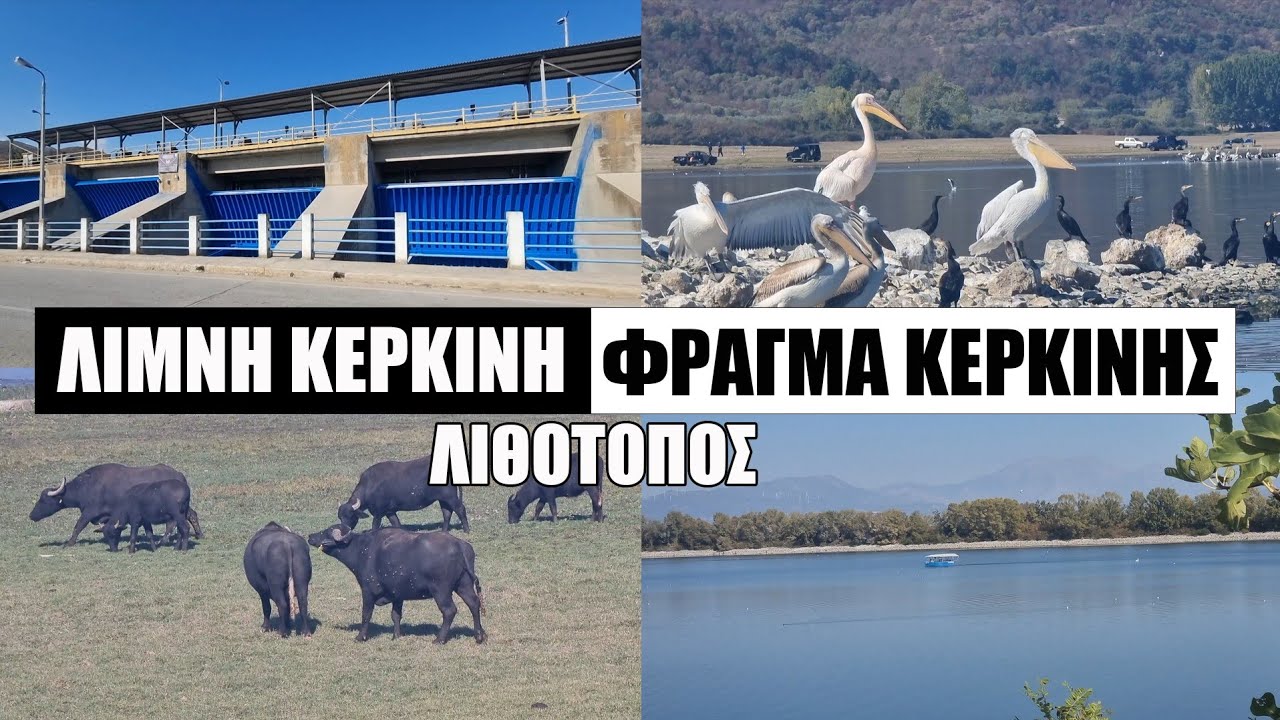 Λίμνη Κερκίνη - Λιθότοπος