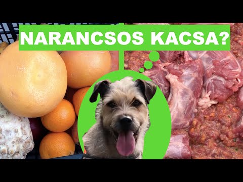 Videó: Mivel etessem pacsiszandrát?