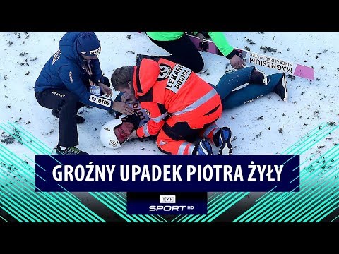 Wideo: Jak nazywają się żyły w kwiatku?