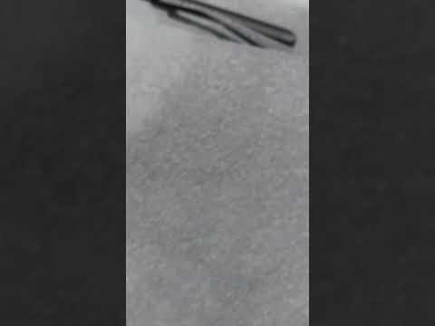 У нас сегодня ночью прошел грязный дождь. А вы заметили что-то подобное?