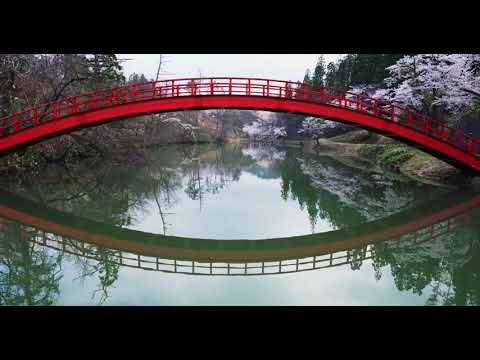 8K FPV Sample Footages of SAKURA