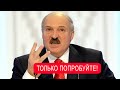 Добесновался! Лука получил сполна - Польша объявила: к чёрту! Всё встало, страшный коллапс