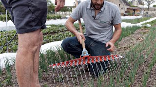 Herse étrille manuelle : Terrateck aux Jardins-potagers de Chambord