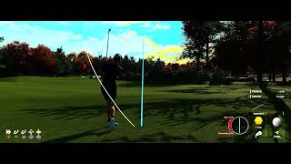 9 inches from my 2nd Albatross!