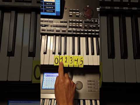 فضل شاكر صحاك الشوق تعليم عزف تعليم عزف اورج للمبتدأين