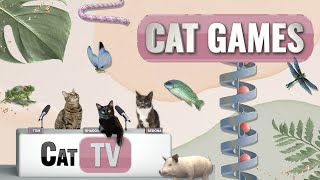 CAT Games | Ultimate Cat TV Compilation Vol 18 | 1 HOUR