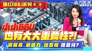 【產業妍究室】爆紅BBU系列第二彈 小小BBU 也有大大重要性?!興能高、新盛力、加百裕誰最純?2024.12.10 股市甜心 分析師劉妍希41