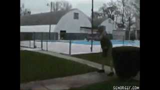 Awesome 4chan GIf Montage