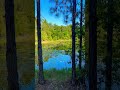 Old Swimming Hole in Florida AFT 2024 🔥🆙 #florida #trevdevadventures #hiking