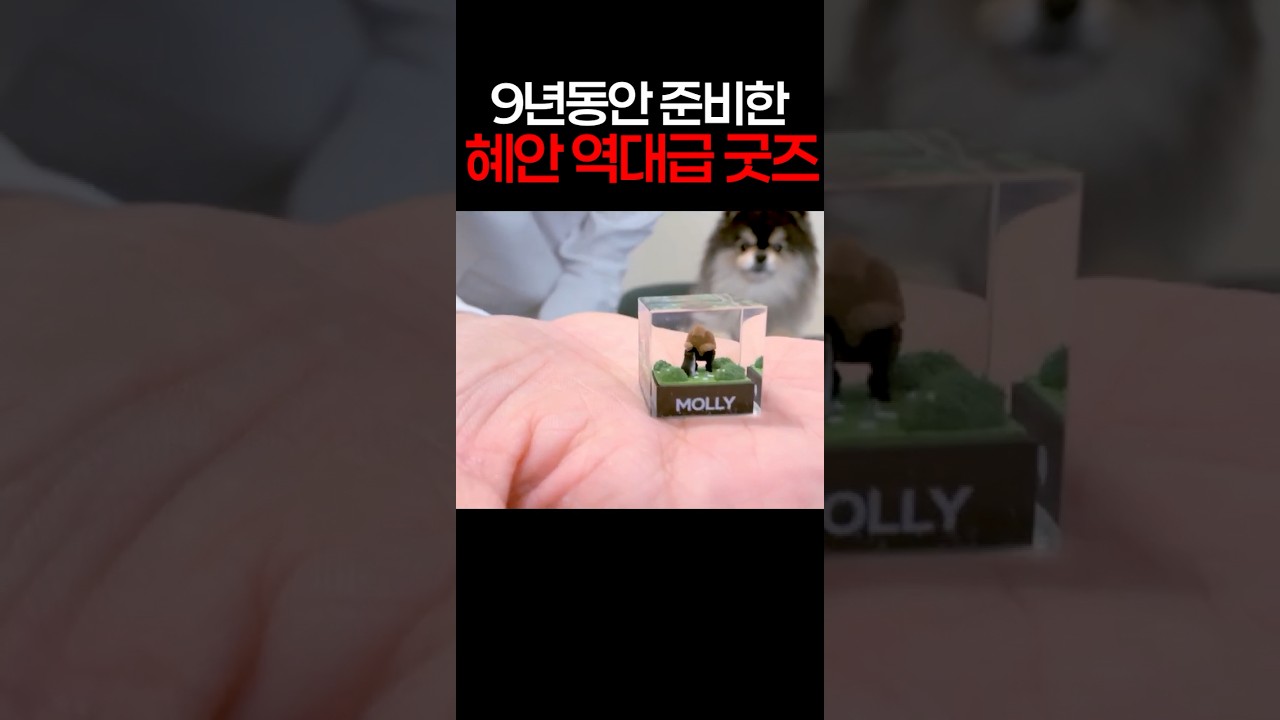 9년 만에 나온, 역대급 혜안 굿즈 ㄷㄷ