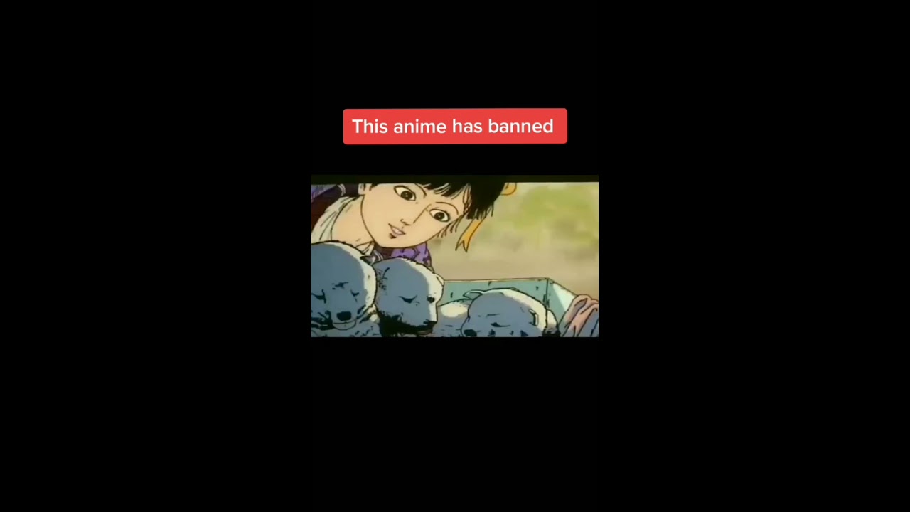 One Of The Main Reason Why Midori Is Banned In Every Country Anime