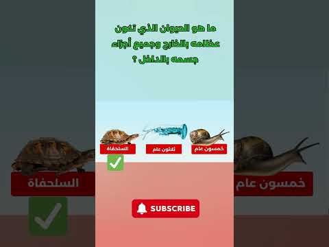 ما هو الحيوان التي كان عظامة بالخارج معلومات غريبة اول مرة تسمعها 