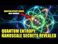 Quantum Thermodynamics How Heat And Entropy Work At The Nanoscale
