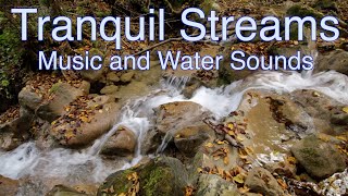 Tranquil Streams: A Soothing Harmony of Flowing Waters and Melodic Bliss - Nature's Calming Symphony