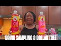 Sparkling ice drink (taste test ) and another Fun Dollar Tree Haul!! 🥳