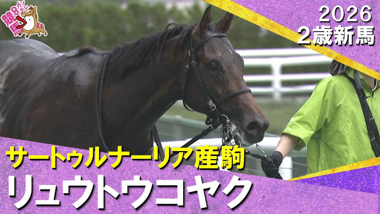 関連動画2