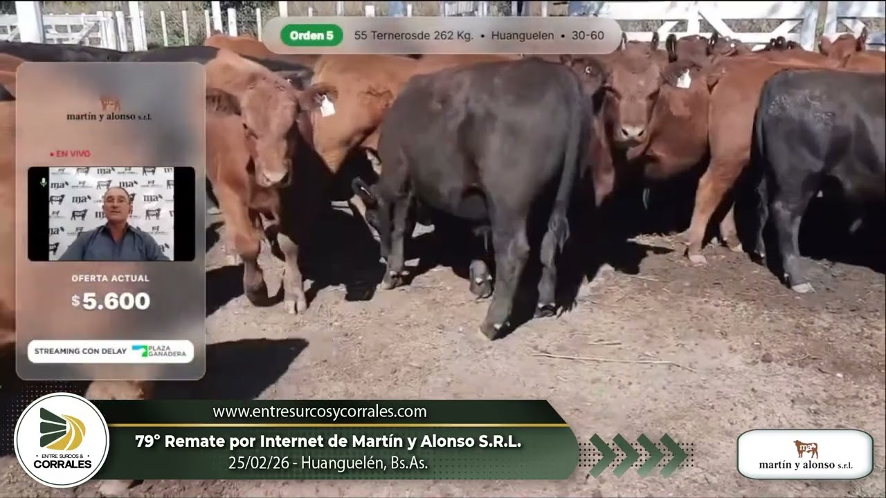 25-02-26 - 79º Remate por Internet de Martín y Alonso S.R.L. - Huanguelén, Bs.As.