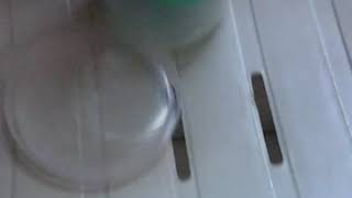 Slime Bem Divertida E Gosmenta