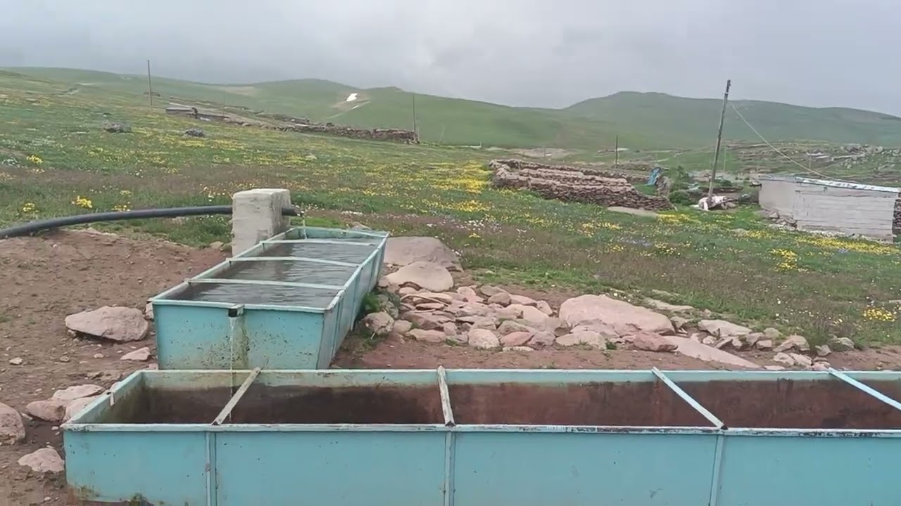 #koyunpınari köyü yaylası #saskara