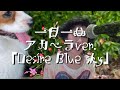 一日一曲♪アカペラVer.「Desire Blue sky」