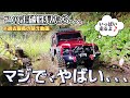 オフロードラジコンのトラクサスディフェンダーが最高に買いたくなる動画 / TRAXXAS TRX-4 DEFENDER
