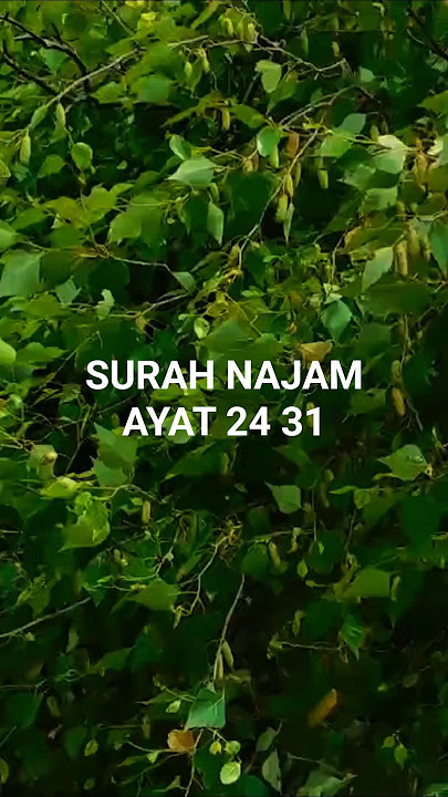 Surah Najam Ayat 24-31 #surahnajam #allahkafarman #allah #islam #quran #foryou #shorts #tarjuma