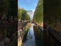早上的士林官邸公園12度但是很美